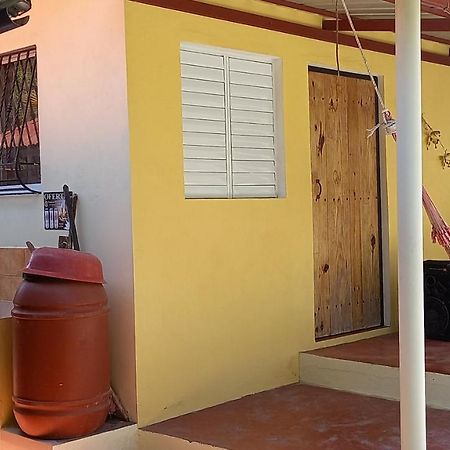Conrado'S Guesthouse B&B Las Avispas 외부 사진