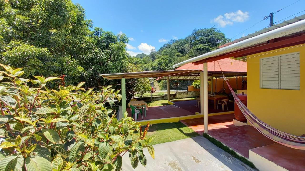Conrado'S Guesthouse B&B Las Avispas 외부 사진
