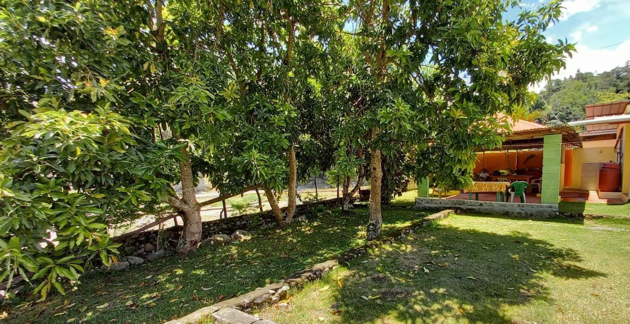 Conrado'S Guesthouse B&B Las Avispas 외부 사진