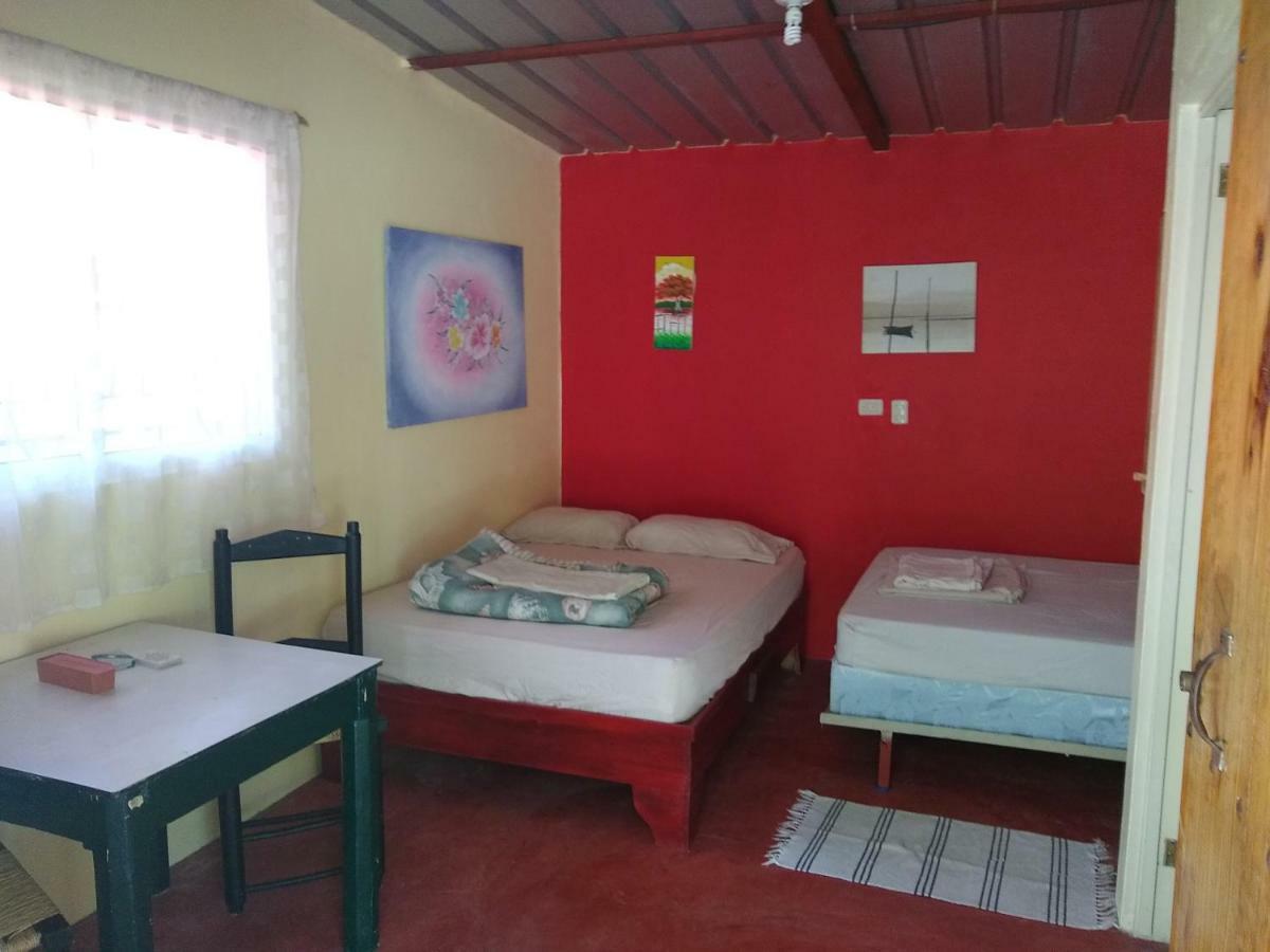 Conrado'S Guesthouse B&B Las Avispas 외부 사진